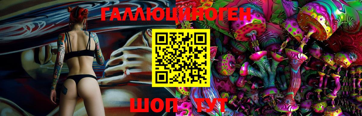 Галлюциногенные грибы Psilocybine cubensis  Вход с VPN  Дивногорск 